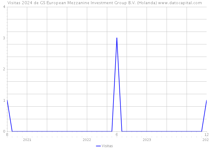 Visitas 2024 de GS European Mezzanine Investment Group B.V. (Holanda) 