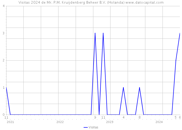 Visitas 2024 de Mr. P.M. Kruijdenberg Beheer B.V. (Holanda) 