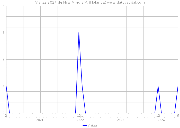 Visitas 2024 de New Mind B.V. (Holanda) 