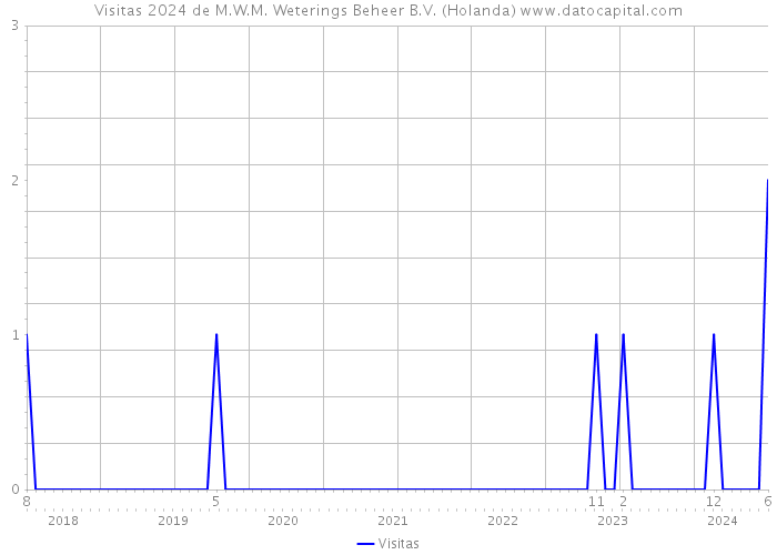 Visitas 2024 de M.W.M. Weterings Beheer B.V. (Holanda) 