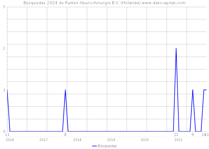 Búsquedas 2024 de Rutten Neurochirurgie B.V. (Holanda) 