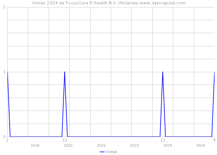 Visitas 2024 de FocusCura E-health B.V. (Holanda) 