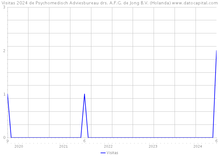Visitas 2024 de Psychomedisch Adviesbureau drs. A.F.G. de Jong B.V. (Holanda) 