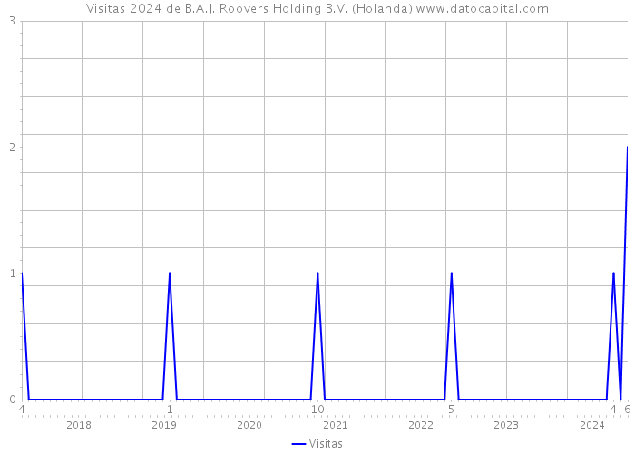 Visitas 2024 de B.A.J. Roovers Holding B.V. (Holanda) 