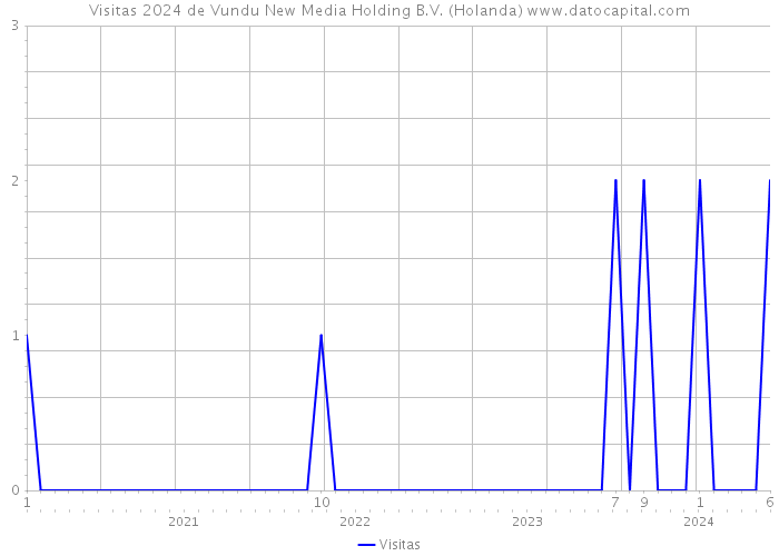 Visitas 2024 de Vundu New Media Holding B.V. (Holanda) 