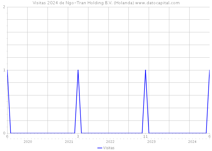 Visitas 2024 de Ngo-Tran Holding B.V. (Holanda) 