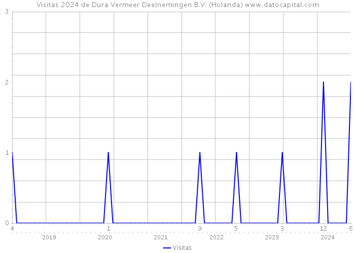 Visitas 2024 de Dura Vermeer Deelnemingen B.V. (Holanda) 