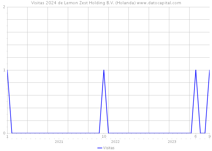 Visitas 2024 de Lemon Zest Holding B.V. (Holanda) 