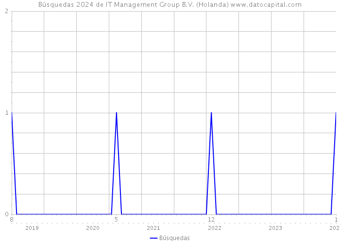 Búsquedas 2024 de IT Management Group B.V. (Holanda) 
