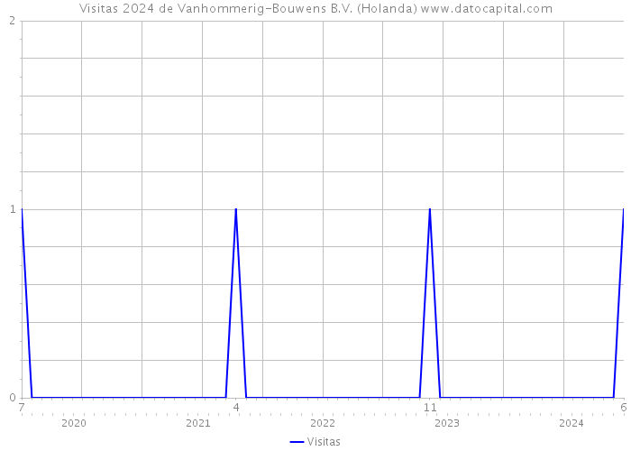 Visitas 2024 de Vanhommerig-Bouwens B.V. (Holanda) 