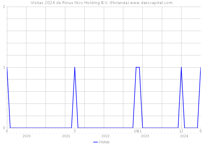 Visitas 2024 de Rinus Nico Holding B.V. (Holanda) 