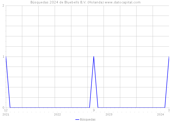 Búsquedas 2024 de Bluebells B.V. (Holanda) 