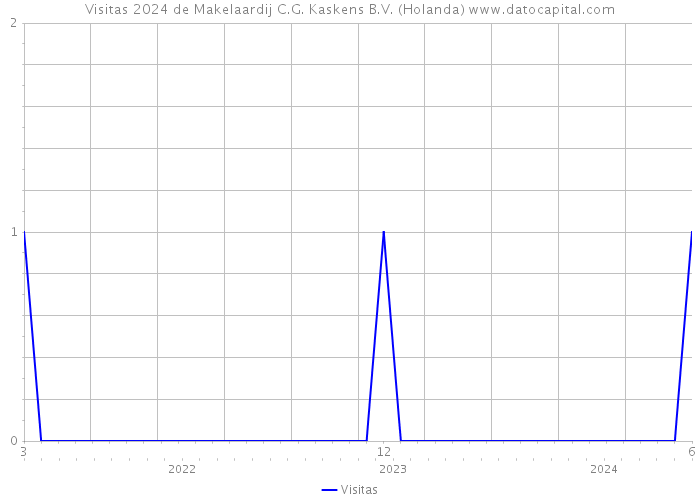 Visitas 2024 de Makelaardij C.G. Kaskens B.V. (Holanda) 