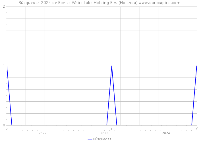 Búsquedas 2024 de Boelsz White Lake Holding B.V. (Holanda) 