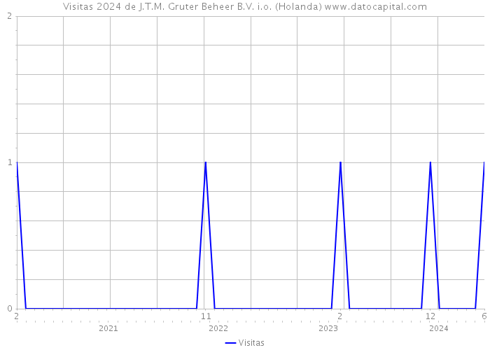 Visitas 2024 de J.T.M. Gruter Beheer B.V. i.o. (Holanda) 