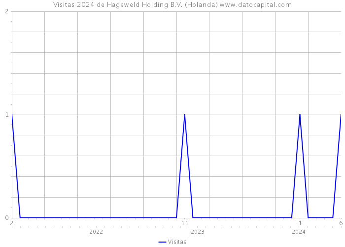 Visitas 2024 de Hageweld Holding B.V. (Holanda) 