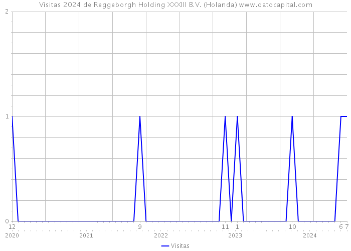 Visitas 2024 de Reggeborgh Holding XXXIII B.V. (Holanda) 