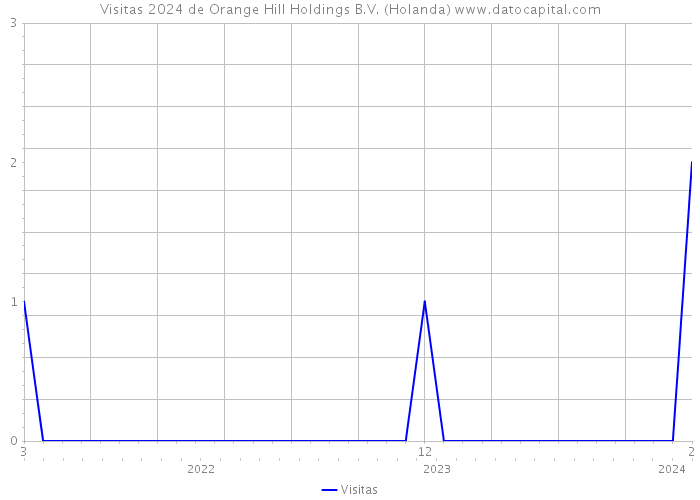 Visitas 2024 de Orange Hill Holdings B.V. (Holanda) 