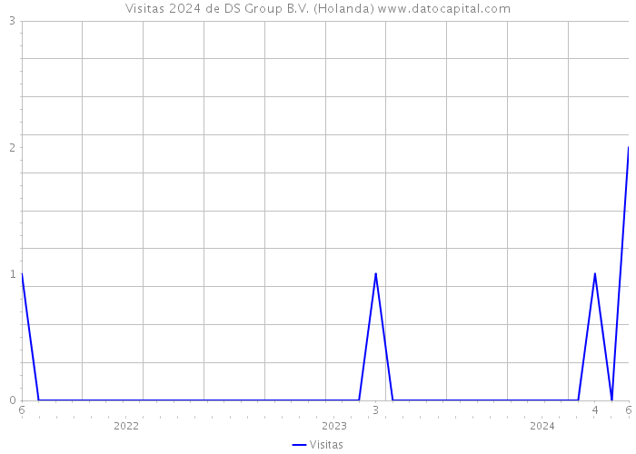 Visitas 2024 de DS Group B.V. (Holanda) 