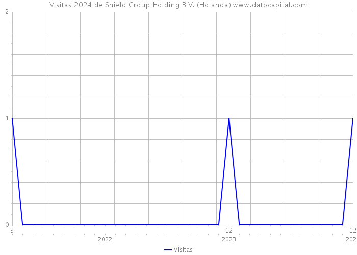 Visitas 2024 de Shield Group Holding B.V. (Holanda) 