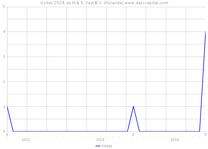 Visitas 2024 de H.& S. Vast B.V. (Holanda) 