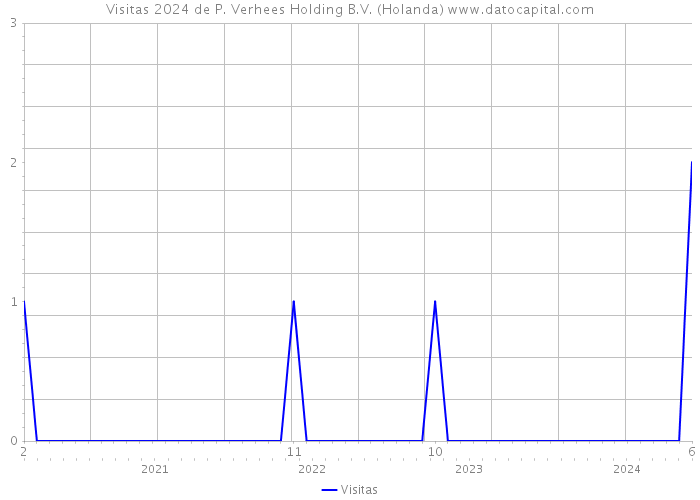 Visitas 2024 de P. Verhees Holding B.V. (Holanda) 