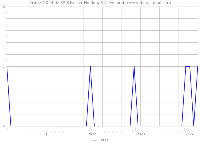 Visitas 2024 de SR Silvester Holding B.V. (Holanda) 