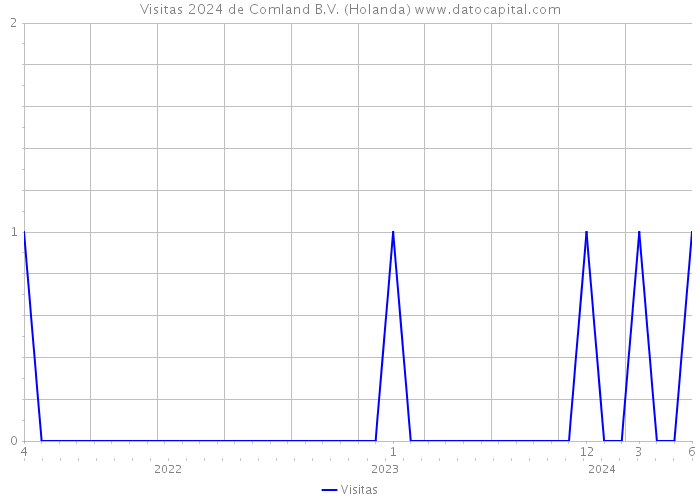 Visitas 2024 de Comland B.V. (Holanda) 