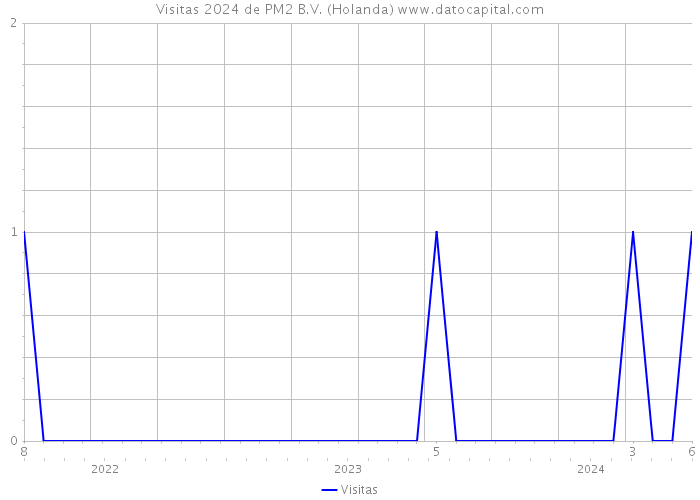 Visitas 2024 de PM2 B.V. (Holanda) 