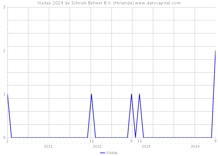 Visitas 2024 de Schriek Beheer B.V. (Holanda) 