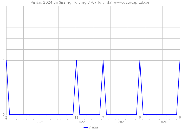Visitas 2024 de Sissing Holding B.V. (Holanda) 