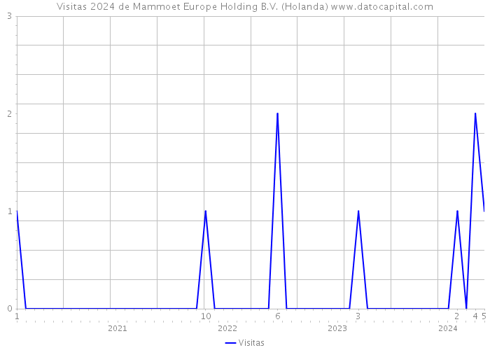 Visitas 2024 de Mammoet Europe Holding B.V. (Holanda) 