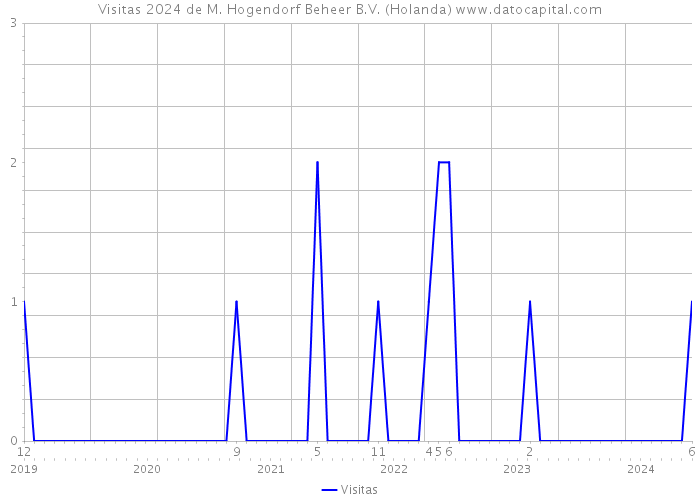 Visitas 2024 de M. Hogendorf Beheer B.V. (Holanda) 