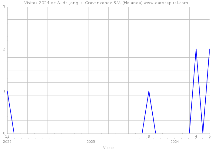 Visitas 2024 de A. de Jong 's-Gravenzande B.V. (Holanda) 