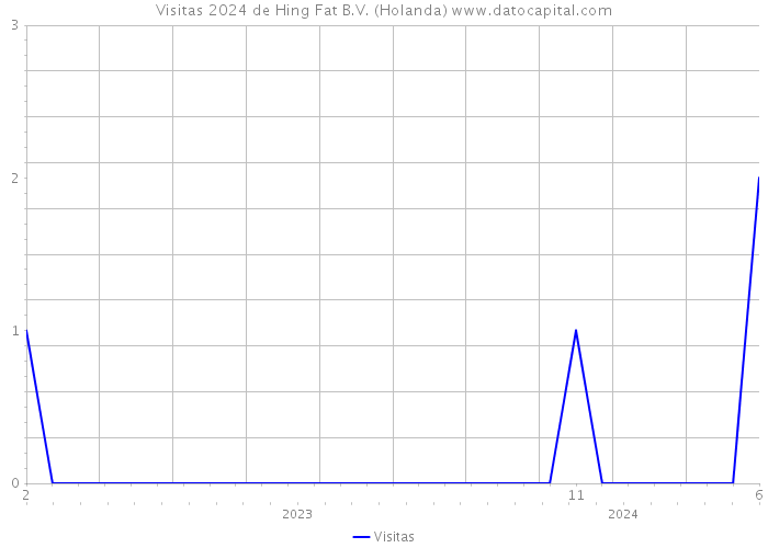 Visitas 2024 de Hing Fat B.V. (Holanda) 