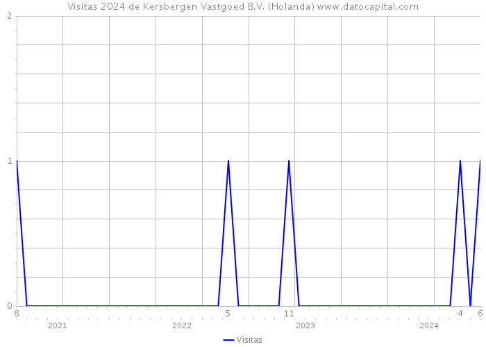 Visitas 2024 de Kersbergen Vastgoed B.V. (Holanda) 