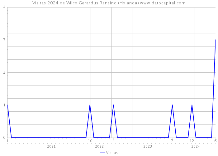 Visitas 2024 de Wilco Gerardus Rensing (Holanda) 