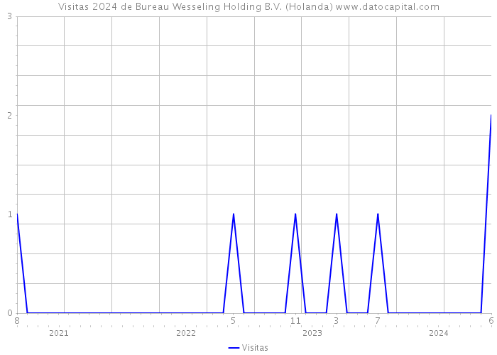 Visitas 2024 de Bureau Wesseling Holding B.V. (Holanda) 