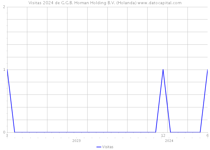 Visitas 2024 de G.G.B. Homan Holding B.V. (Holanda) 