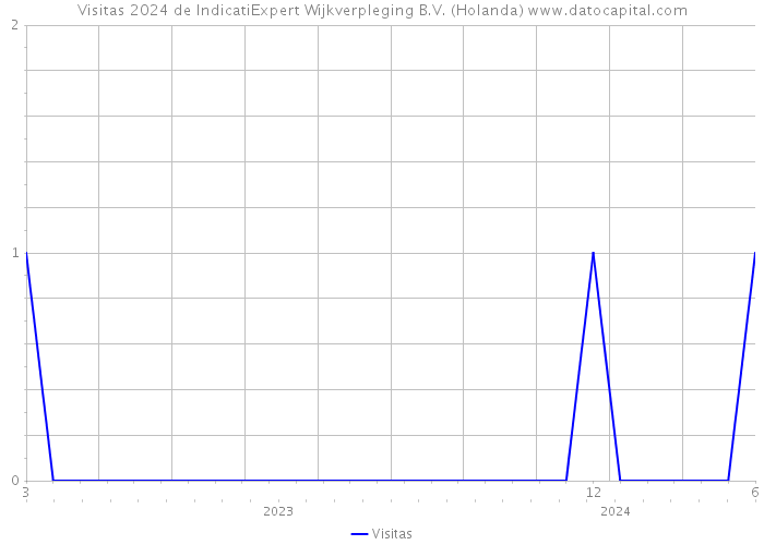 Visitas 2024 de IndicatiExpert Wijkverpleging B.V. (Holanda) 