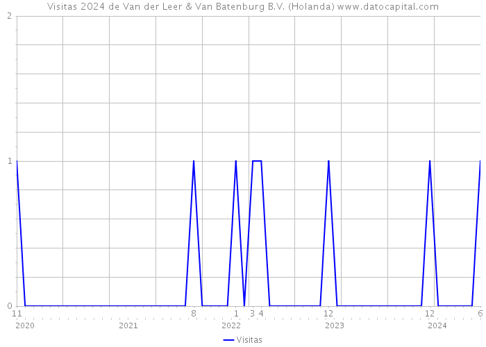 Visitas 2024 de Van der Leer & Van Batenburg B.V. (Holanda) 