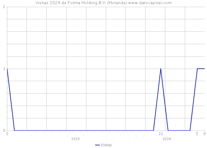 Visitas 2024 de Fotma Holding B.V. (Holanda) 