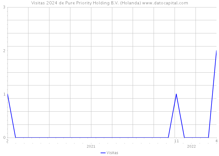 Visitas 2024 de Pure Priority Holding B.V. (Holanda) 