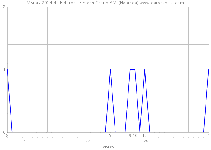 Visitas 2024 de Fidurock Fintech Group B.V. (Holanda) 