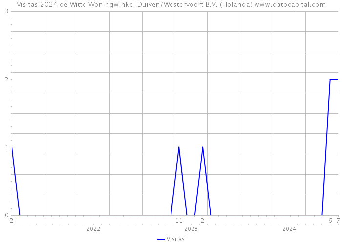 Visitas 2024 de Witte Woningwinkel Duiven/Westervoort B.V. (Holanda) 