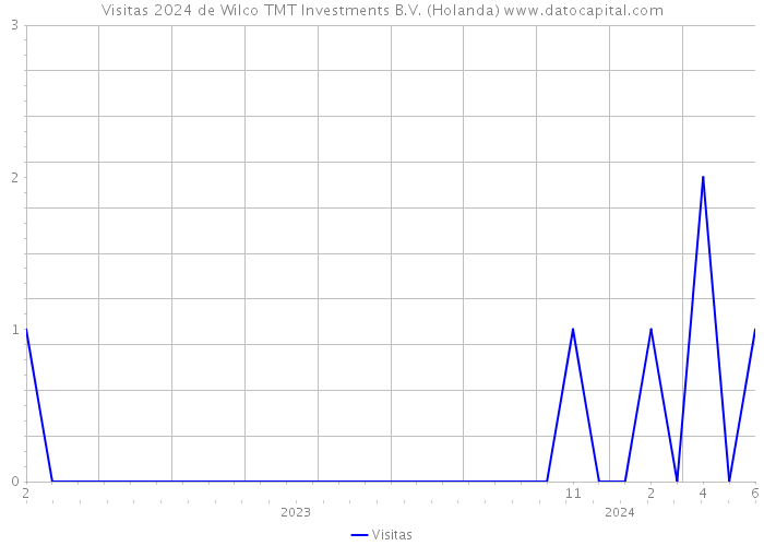 Visitas 2024 de Wilco TMT Investments B.V. (Holanda) 