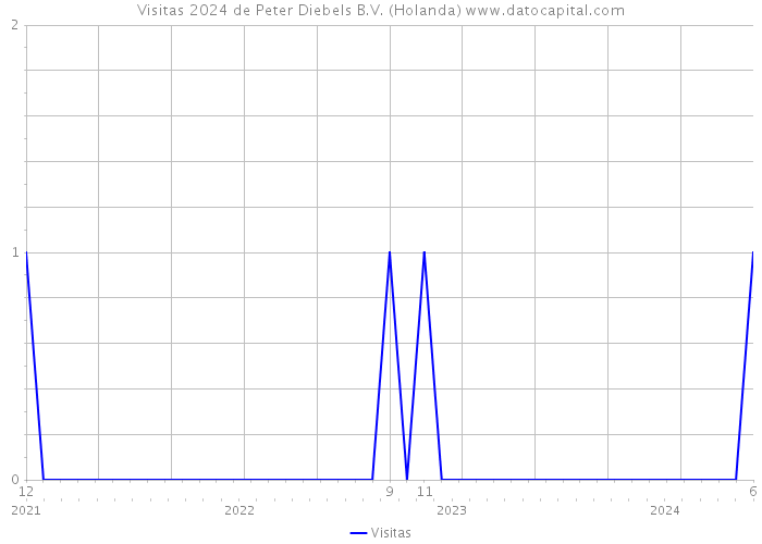 Visitas 2024 de Peter Diebels B.V. (Holanda) 