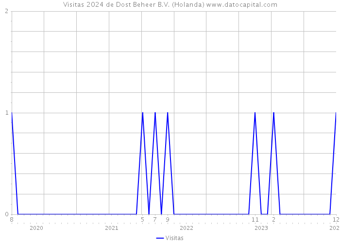 Visitas 2024 de Dost Beheer B.V. (Holanda) 