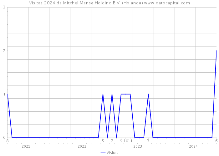 Visitas 2024 de Mitchel Mense Holding B.V. (Holanda) 