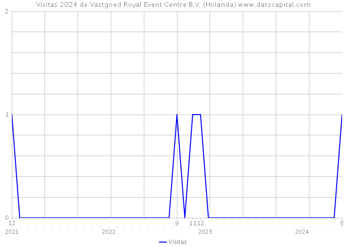 Visitas 2024 de Vastgoed Royal Event Centre B.V. (Holanda) 